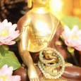 Vòng Tay Ngọc Hoà Điền Bông Mai May Mắn